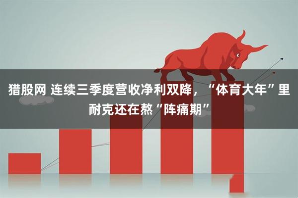 猎股网 连续三季度营收净利双降，“体育大年”里耐克还在熬“阵痛期”