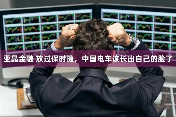亚晶金融 放过保时捷，中国电车该长出自己的脸了