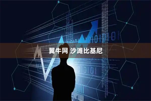 翼牛网 沙滩比基尼